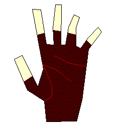 I drew my pain of fingerless gloves